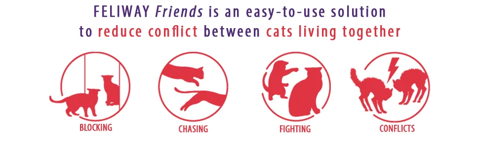 FELIWAY Friends 30 Day Refill helps to reduce conflict in multi-cat households helping cats get along better - 48ml Red Pack of 1 - Fighting Cats