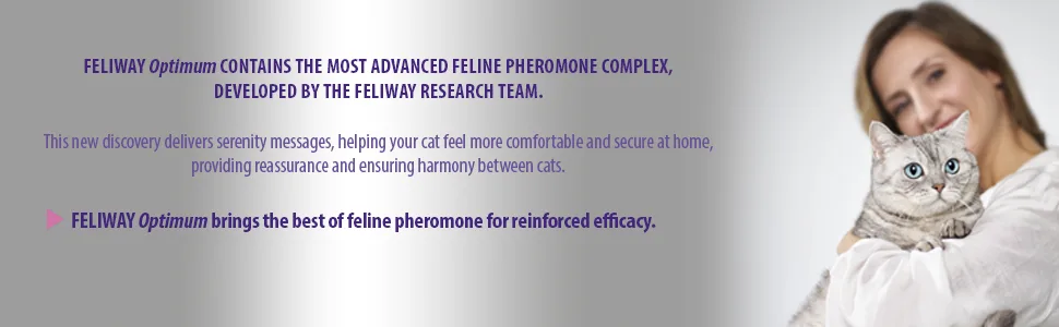 Feliway Optimum Refill Purple Package may vary 3 Count ( Pack of 1) - Feliway Optimum