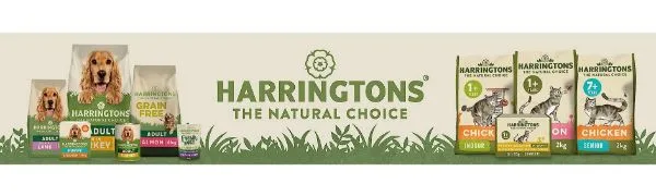 Harringtons Complete Dry Cat Food with Freshly Prepared Chicken - 4x2kg Adult Chicken 2 kg (Pack of 4) - product information 1