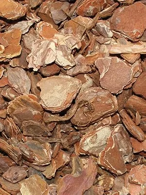 Komodo Forest Terrain Orchid Bark Fine Chips 6 Litre 6 l (Pack of 1) 6 Litre - Orchid Bark