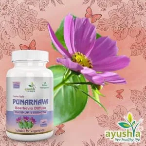 Ayushya Punarnava Capsule (Boerhavia Diffusa) 60 Capsules Natural 60 count (Pack of 1) - Punarnava Capsule