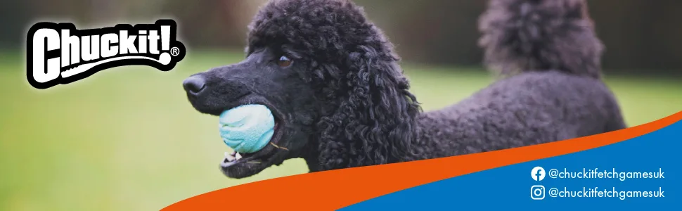 Chuckit! Fetch Ball Dog Toy Durable High Bounce Floating Rubber Dog Ball Launcher Compatible Toy For Dogs Medium 2 Pack Medium 2 Pack - chuckit