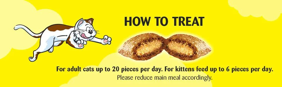 Dreamies Mega Pack Cat Treats Tasty Snacks with Delicious Catnip 6 Pouches of 200 g - Dreamies
