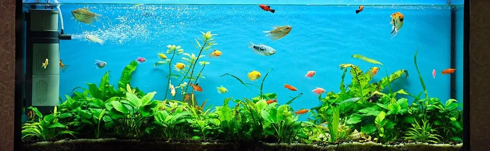 Supa Aquarium Fish Food Tropical Flake 1 Litre | Premium Quality Nutritious Fish Food Offering a Complete Balanced Diet Fish 1 l (Pack of 1) - Tropical Fish A+ Content
