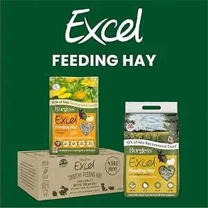 Excel Mature Rabbit Cranberry & Thyme Food 1.5 kg Green 1.5 kg (Pack of 1) - Feeding hay