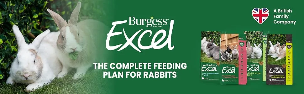 Burgess Excel Junior and Dwarf Nuggets with Mint Rabbit Food 3 kg 3 kg (Pack of 1) - Burgess Excel Rabbit Nuggets