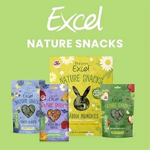 Burgess Excel Junior and Dwarf Nuggets with Mint Rabbit Food 3 kg 3 kg (Pack of 1) - Nature snacks