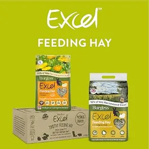 Burgess Excel Feeding Hay Dried Fresh Grass 1kg (Pack of 3) - Excel Feeding Hay