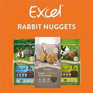 Burgess Excel Feeding Hay Dried Fresh Grass 1kg (Pack of 3) - Excel Rabbit Nuggets