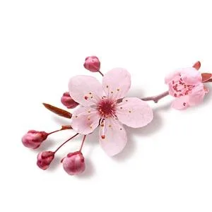 RITUALS The Rituals of Sakura Bath Foam 500ml Sakura 500 ml (Pack of 1) - product information 9