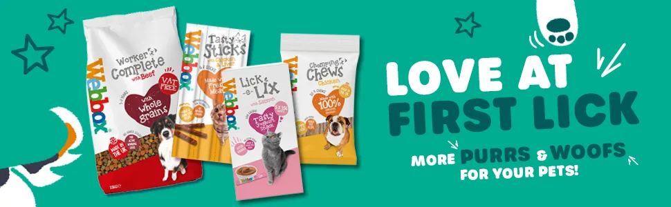 Webbox Lick-e-Lix Cat Treats Salmon - Kitten Friendly Grain and Gluten Free No Artificial Preservatives or Colours (10 x 5 Packs) - love at first lick