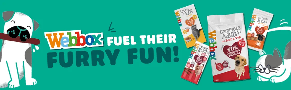 Webbox Lick-e-Lix Cat Treats Salmon - Kitten Friendly Grain and Gluten Free No Artificial Preservatives or Colours (10 x 5 Packs) - webbox fuel their furry fun