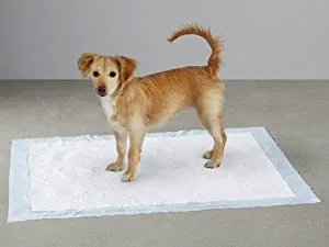 Amazon Basics Heavy Duty Dog and Puppy Training Pads Leakproof with Quick-Dry Surface X-Large Pack of 25 Blue & White X-Large (25 Count) - product information 2