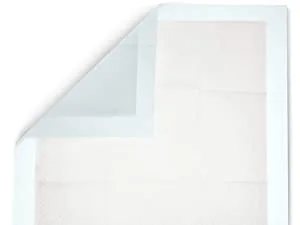 Amazon Basics Heavy Duty Dog and Puppy Training Pads Leakproof with Quick-Dry Surface X-Large Pack of 25 Blue & White X-Large (25 Count) - product information 5