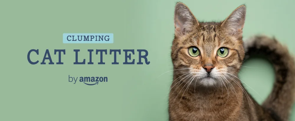 by Amazon - Plant Fiber Cat Litter Odor Control 15 liters 15 L (Pack of 1) - product information 1