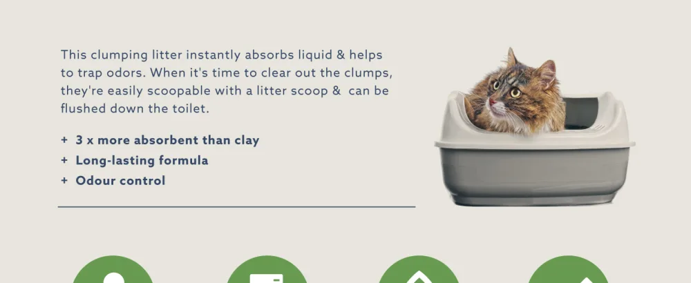 by Amazon - Plant Fiber Cat Litter Odor Control 15 liters 15 L (Pack of 1) - product information 2