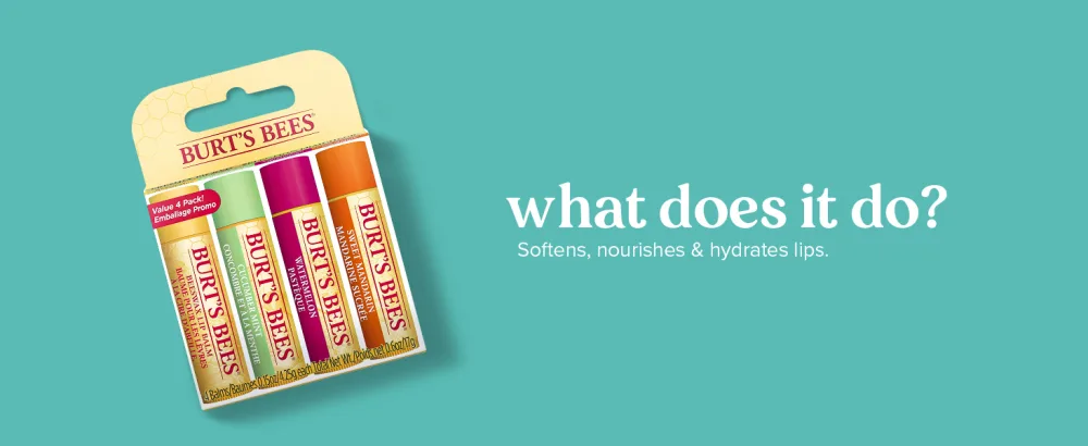 Burt's Bees Vanilla Bean Lip Balm (PACK OF 4) Fruit Vanilla 1 count (Pack of 4) - Burt