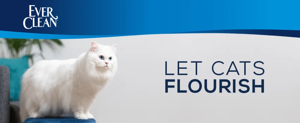 Ever Clean Clumping Cat Litter Extra Strong Clumping Cat Litter Scented for Long-lasting freshness 10L Scented 10000 ml (Pack of 1) - Ever Clean Extra Strong Clumping Scented