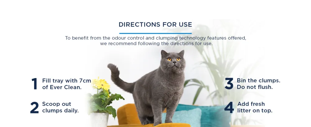 Ever Clean Clumping Cat Litter Extra Strong Clumping Cat Litter Scented for Long-lasting freshness 10L Scented 10000 ml (Pack of 1) - Ever Clean Extra Strong Clumping Scented