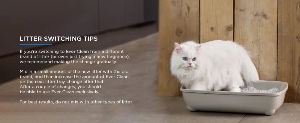 Ever Clean Clumping Cat Litter Extra Strong Clumping Cat Litter Scented for Long-lasting freshness 10L Scented 10000 ml (Pack of 1) - Ever Clean Extra Strong Clumping Scented