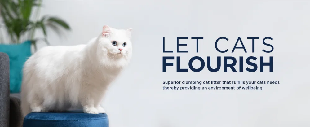 Ever Clean Clumping Cat Litter Extra Strong Clumping Cat Litter Scented for Long-lasting freshness 10L Scented 10000 ml (Pack of 1) - Ever Clean Extra Strong Clumping Scented