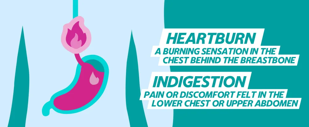 Gaviscon Heartburn and Indigestion Relief Peppermint Flavour Tablets Pack Of 48 - gaviscon