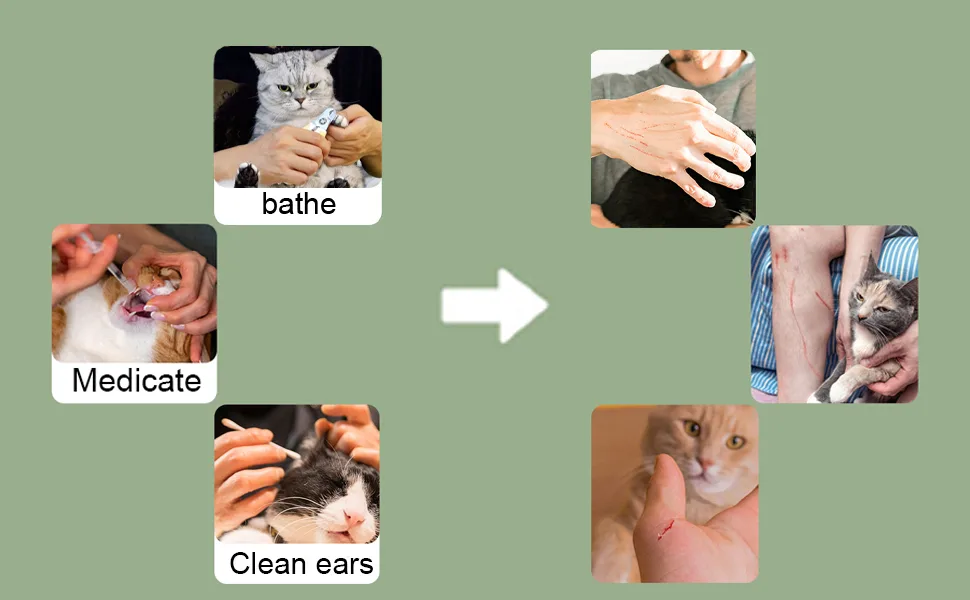 4 Pack Cat Anti-Scratch Boots Silicone Cat Shoes with Adjustable Paw Protection Claw Covers for Bathing Shaving Examining and Treating Cats (GREEN) - product information 5