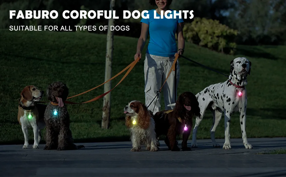 Faburo 6 PCS Clip on Dog Collar LED Lights Dog Collar Safety Night Walking LED Lights included 6 pcs Battery(Water Resistent) - product information 1