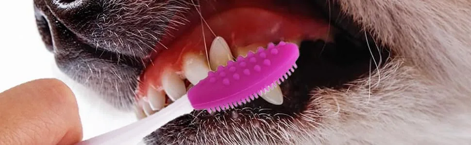 5pack Dog Toothbrush Double-Sided Soft Silicone Gentle Dental Brushes kit with Curved Long Handle Dog toothbrushes Red - dog toothbrush
