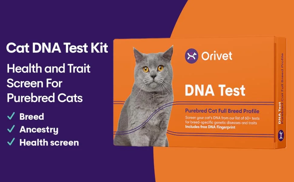ORIVET Cat Breed DNA Test - 1 Pack | Comprehensive Genetic Health Screening & LifePlan | At Home Cheek Swab | Accurate & Fast Results - Orivet
