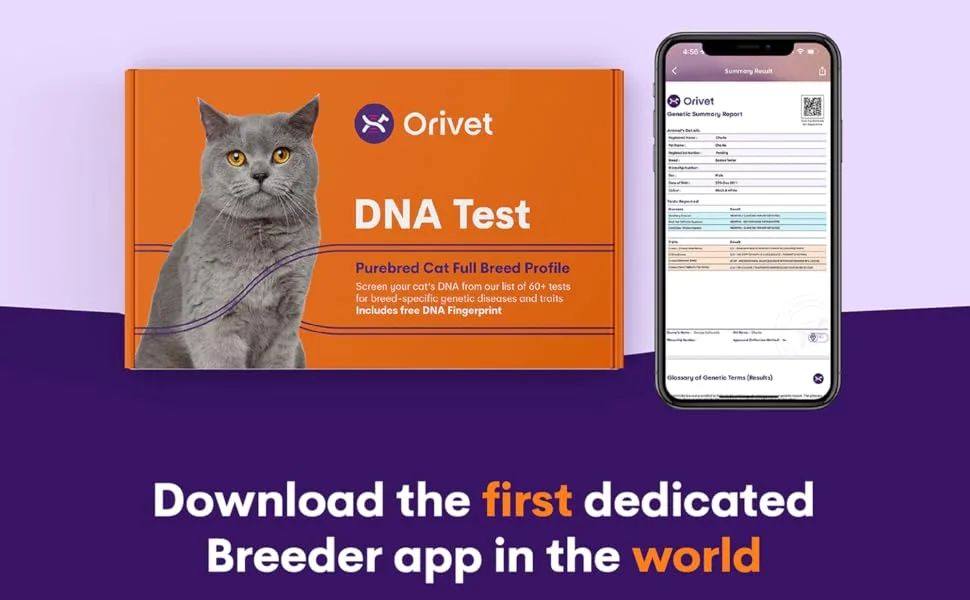 ORIVET Cat Breed DNA Test - 1 Pack | Comprehensive Genetic Health Screening & LifePlan | At Home Cheek Swab | Accurate & Fast Results - Orivet