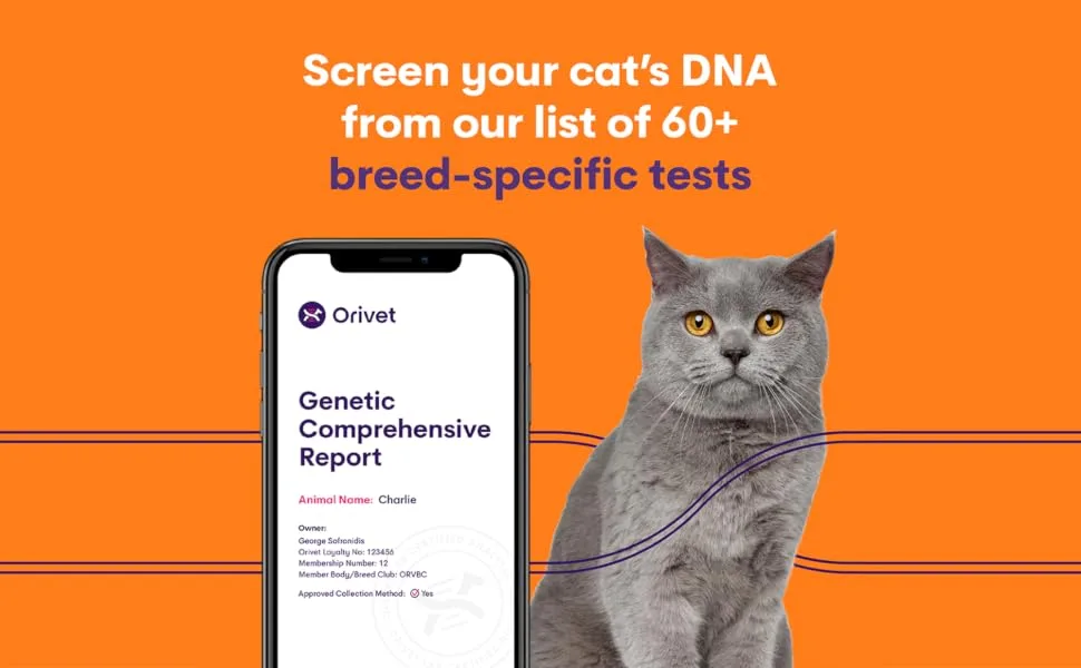 ORIVET Cat Breed DNA Test - 1 Pack | Comprehensive Genetic Health Screening & LifePlan | At Home Cheek Swab | Accurate & Fast Results - Orivet