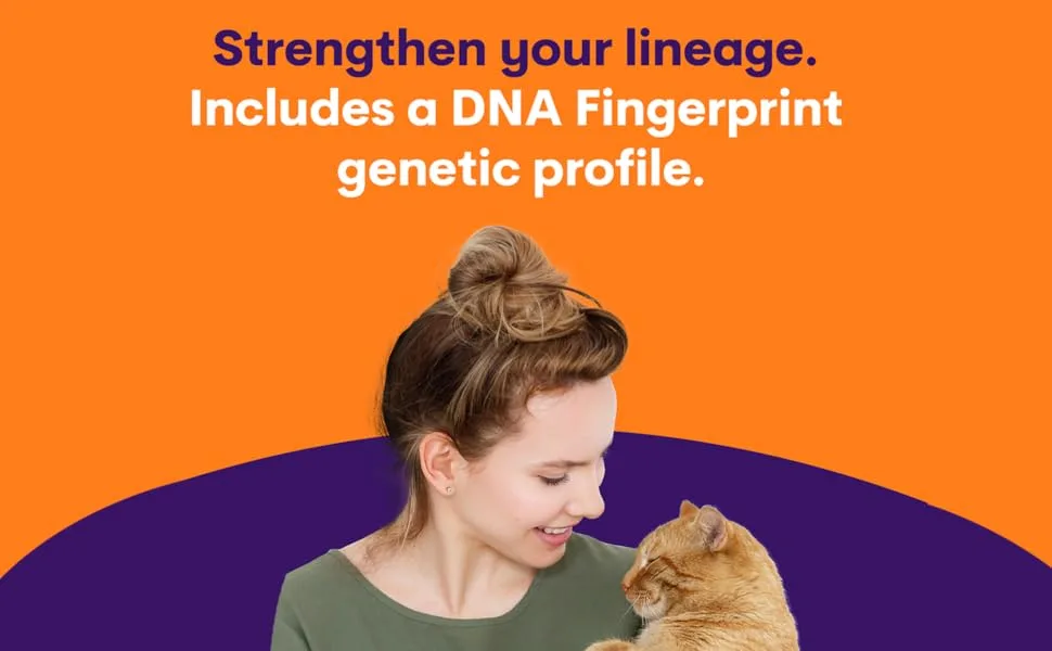 ORIVET Cat Breed DNA Test - 1 Pack | Comprehensive Genetic Health Screening & LifePlan | At Home Cheek Swab | Accurate & Fast Results - Orivet