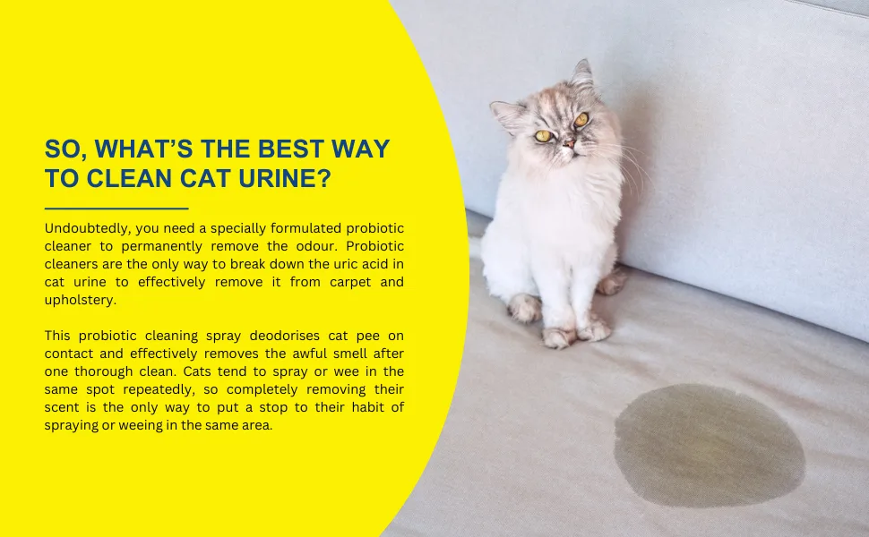 Professional Strength Cat Urine Destroyer Pack of 2 - PSSS