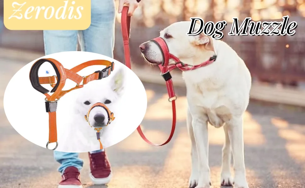 Zerodis Dog Head Halter with Safety Strap Stops Heavy Pulling On The Leash Padded Headcollar for Small Medium and Large Dog Sizes Adjustable Head Collar for Dogs (Red) L (about 6 8 Years Old) Red - Dog Head Halter