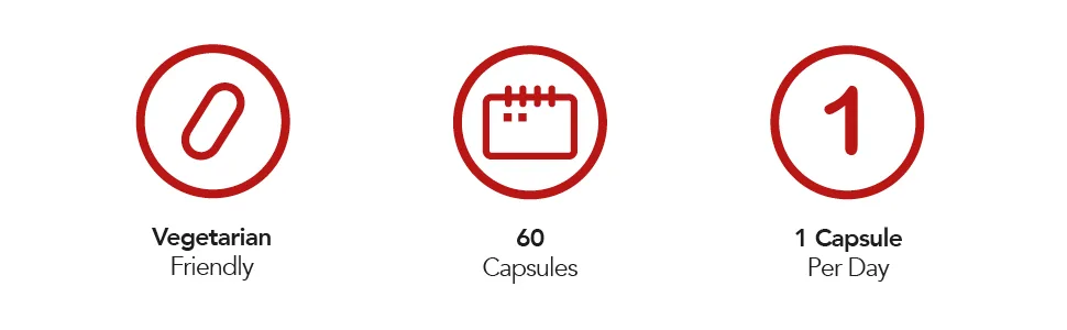 Probiotic 6 Billion Multi-Strain Live Bio Cultures Complex with Prebiotic 60 Vegetarian Capsules. Probiotic Capsule - 60 Pack - Vegetarian Friendly 1 Capsule Per Day 60 Capsules