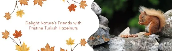 AgnesGP Hazelnuts In Shells for Wild Birds and Squirrels (5Kg Sack Included) - Nutrient-Rich Snack for Your Backyard Friends - Delight Nature
