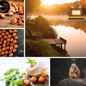 AgnesGP Hazelnuts In Shells for Wild Birds and Squirrels (5Kg Sack Included) - Nutrient-Rich Snack for Your Backyard Friends - Sourced from Turkey