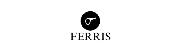 FERRIS | Pack of 2 Pregnancy Tests Early Response Home Testing Kit Early Family Planning Quick Result & Easy Detection | Over 99% Accuracy - Discreet Packaging 2pk Pregnancy Tests - product information 1