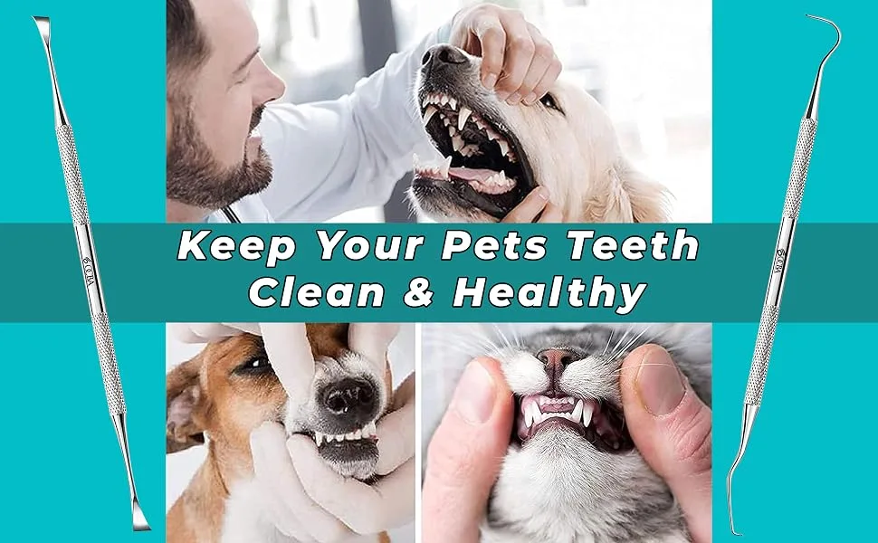 OCBA 2 Pcs Pet Teeth Cleaning tools Double Headed Tarter Scraper & Tooth Pick Stainless Steel Plaque Remover for Dogs & Cats Pet Dental Teeth Cleaning Tool - Plaque Remover