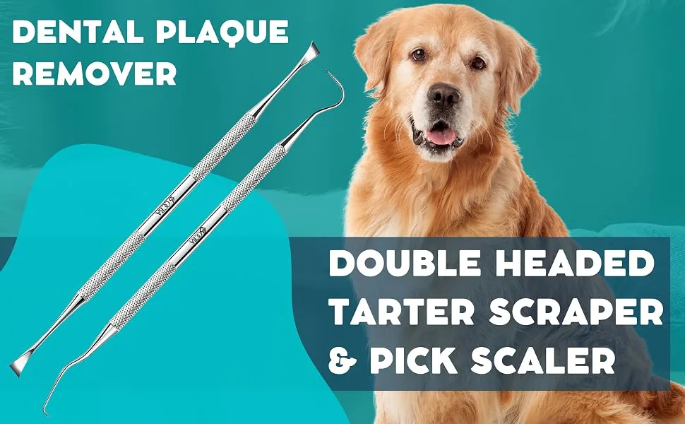 OCBA 2 Pcs Pet Teeth Cleaning tools Double Headed Tarter Scraper & Tooth Pick Stainless Steel Plaque Remover for Dogs & Cats Pet Dental Teeth Cleaning Tool - Tarter Scraper