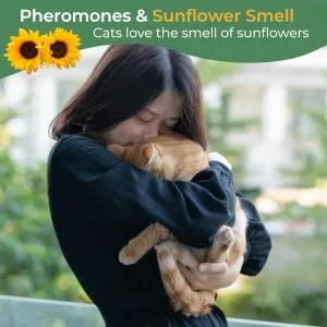 Daintry Cat Calming pack of two Refills for Diffuser With Sunflower Smell .Diffuser not included - lady and Cat Calm with the release of Pheromoes and Sunflower Smell