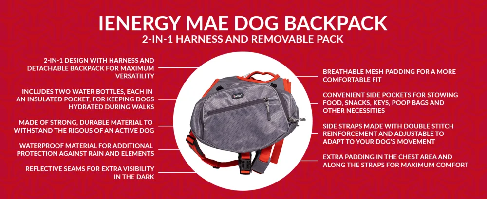 iEnergy MAE Dog Backpack - 2-in-1 Harness with Removable Waterproof Backpack - Small 36 cm L x 25 cm W x 2 cm H - Mae 2in1 dog harness and backpack