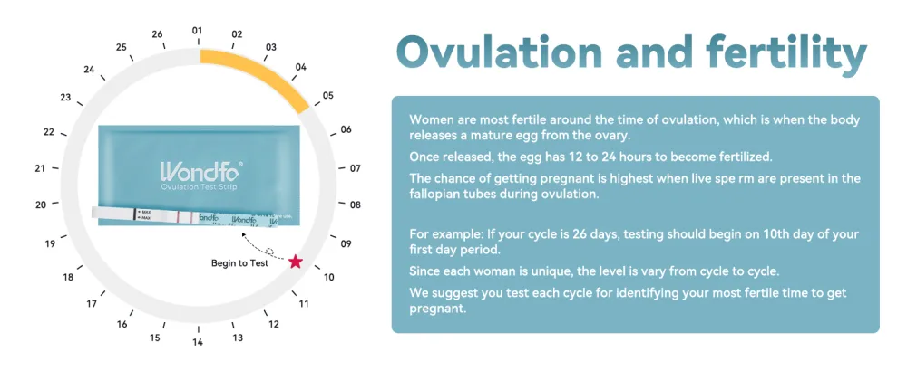 Wondfo Ovulation Test Strips 25 Pack Ovulation Predictor Kit with Urine Cups to Know Your Most Fertile Days 5MM Width - fertility test