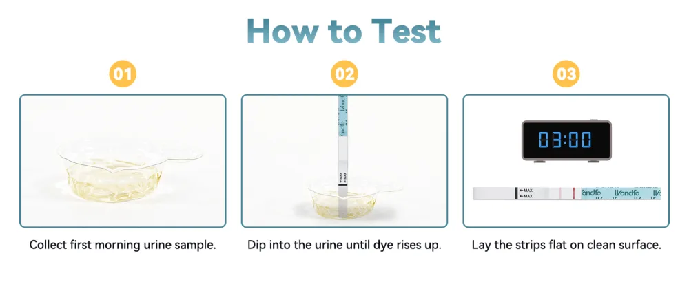 Wondfo Ovulation Test Strips 25 Pack Ovulation Predictor Kit with Urine Cups to Know Your Most Fertile Days 5MM Width - how to test
