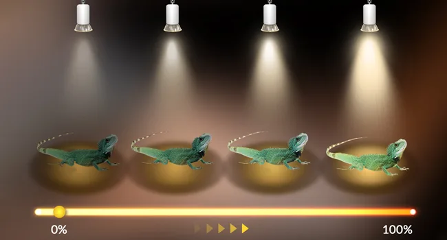 Klarlight 4 Pack Turtle Halogen Bulb 50W E27 UVA UVB Backlight Heater Bulbs for Reptile Lizard Water Turtles Spiders Frogs - dimmable uvb light reptile