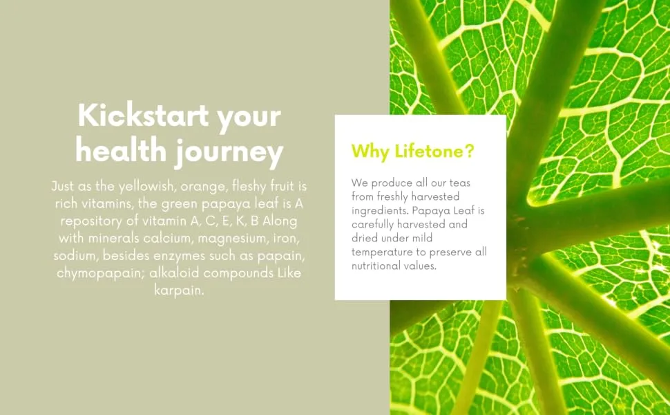lifetone the tea for better life Papaya leaf tea | Immune system booster | Laxative tea | Detox tea (80 Teabags) - papaya leaf tea