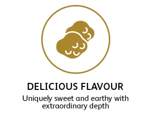 TruffleHunter - White Truffle Honey - Acacia Honey Condiment - 240g - delicious flavour