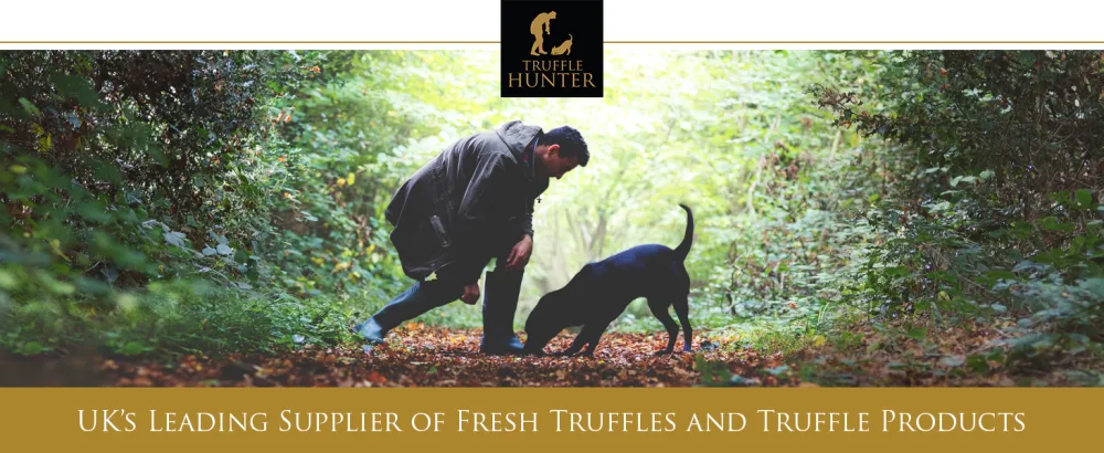TruffleHunter - White Truffle Honey - Acacia Honey Condiment - 240g - Truffle Hunter