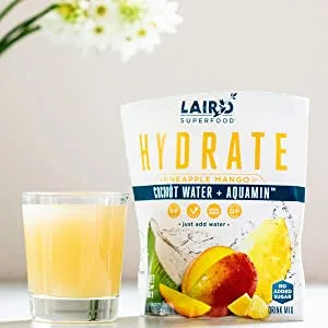 Laird Superfood - Pineapple Mango Hydrate Coconut Water 240 g 2245 - Mango